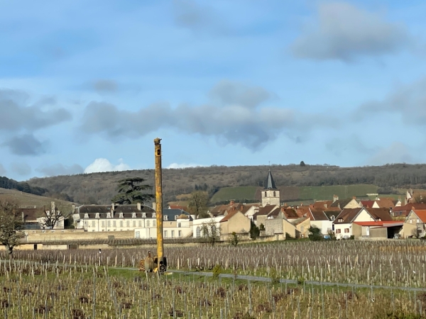 Les tours antigel et les éoliennes : deux solutions innovantes au service des viticulteurs face aux risques de gel