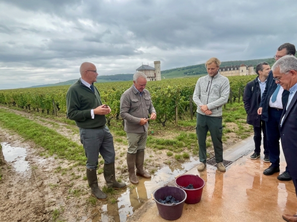 Climat, taxes, qualité du millésime : les vignerons bourguignons échangent avec le préfet de Bourgogne 