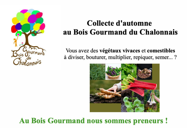 Le Bois Gourmand du Chalonnais recherche des végétaux vivaces et comestibles 