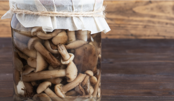 Comment bien conserver ses champignons ?