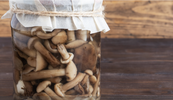 Comment bien conserver ses champignons ? 