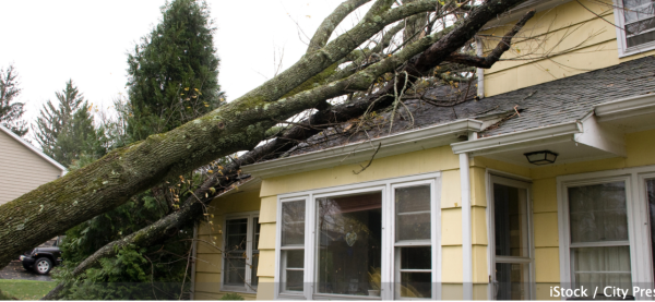 Comment être indemnisé des dommages causés par une tempête ?