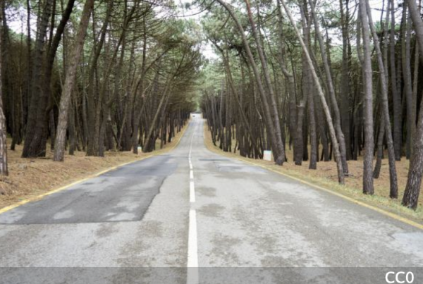 L'Union routière de France tire la sonnette d'alarme sur l'état du réseau