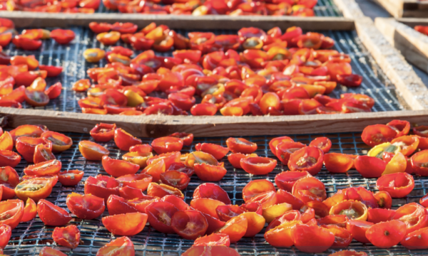 Comment faire sécher les tomates au soleil pour les conserver tout l'hiver ?