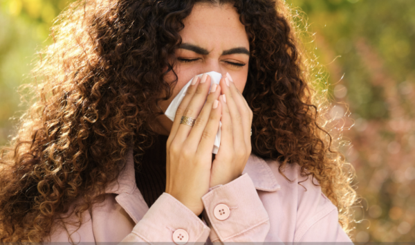 Consultez en temps réel l'indice pollen de votre ville