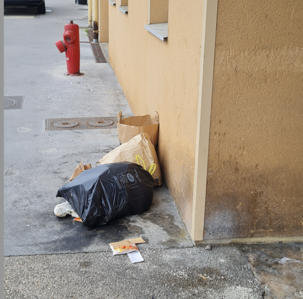 Dans le secteur de la rue de Strasbourg à Chalon, les riverains s'agacent de constater les dépôts d'ordures