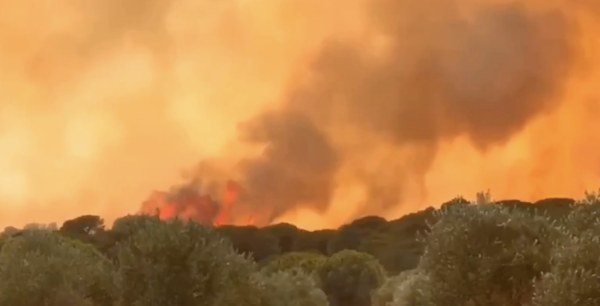 400 hectares brûlés, plus de 600 pompiers mobilisés… Ce que l’on sait de l’incendie dans l’Aude