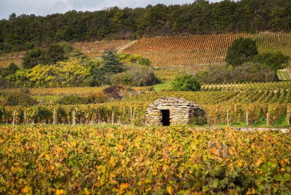 4530 hectares de paysage de la Côte de Nuits classés monuments naturels... après 10 années de combat