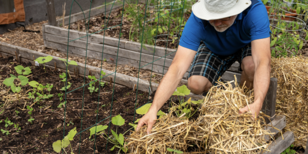 Les Français redonnent du sens à leur jardin