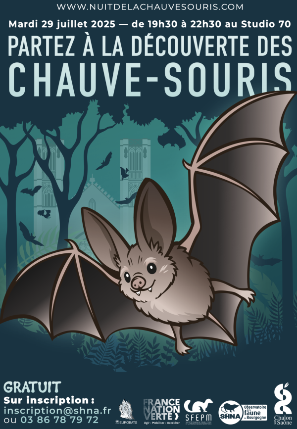 Mardi 29 juillet, découvrez la vie secrète des chauve-souris !