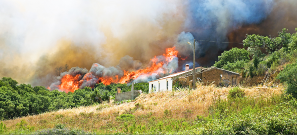 Habitation : comment être indemnisé des dégâts d'un feu de forêt ?