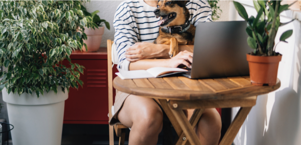 Quels sont les aménagements indispensables pour un télétravail efficace et confortable à l'heure d'été !