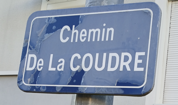 A Saint Jean des Vignes, le gentil message adressé par Marie au propriétaire d'un chat découvert mort ce matin 
