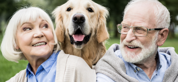 Les chiens et chats... un rempart contre la perte de mémoire ? 