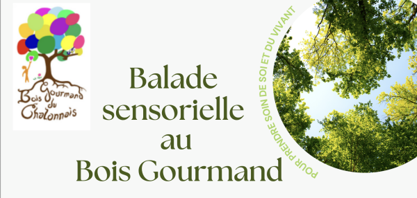 Bois Gourmand du Chalonnais - La prochaine balade sensorielle organisée le 26 septembre 