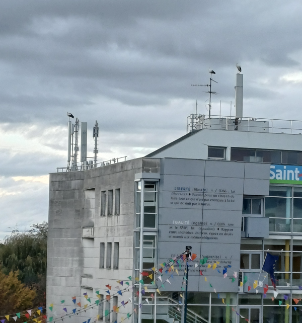 Les cigognes ont pris place sur Saint-Rémy 