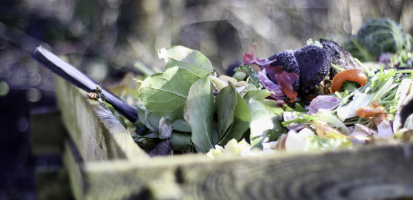 Comment réaliser un compost d’automne avec des déchets de jardin et de cuisine ?