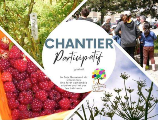 Le prochain chantier participatif au Bois Gourmand du Chalonnais se tient ce vendredi 9 janvier 