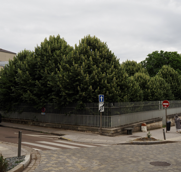 Le quartier du Palais de justice embaume ... 