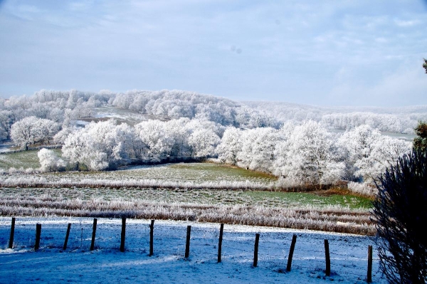 Le givre et ses paysages féériques immortalisés par un fidèle d'info-chalon.com