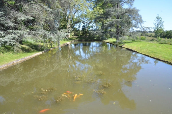 Que faire ce week –end ? Et bien, rendez-vous aux jardins !