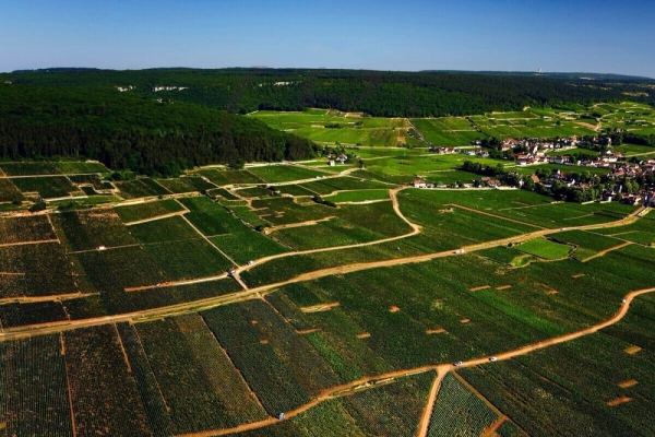 Protection des appellations - La Chine protège les AOC Mâcon et Gevrey-Chambertin