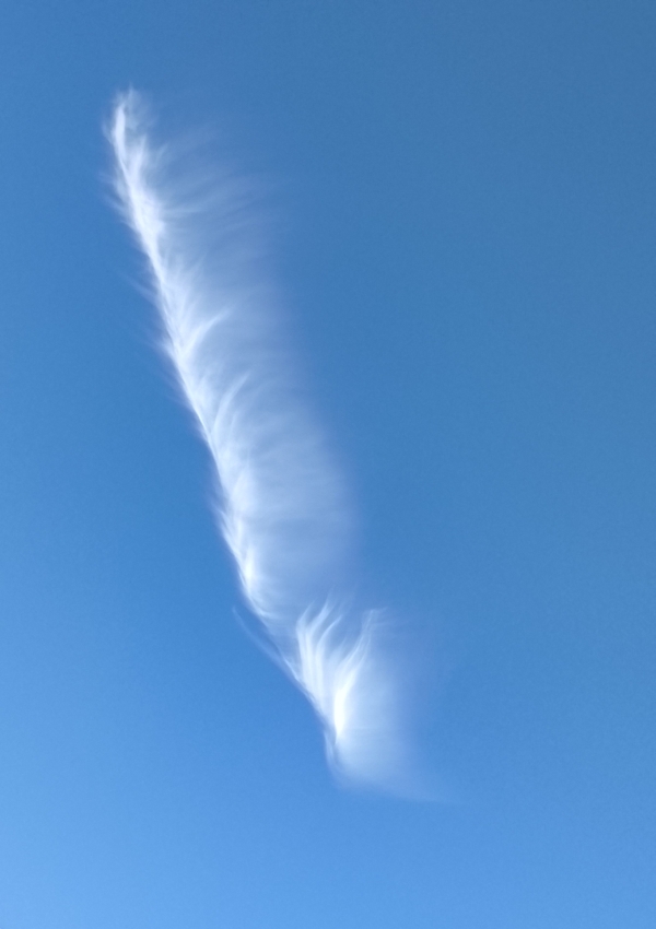 Un ange a perdu une plume ce jour au-dessus de Crissey 