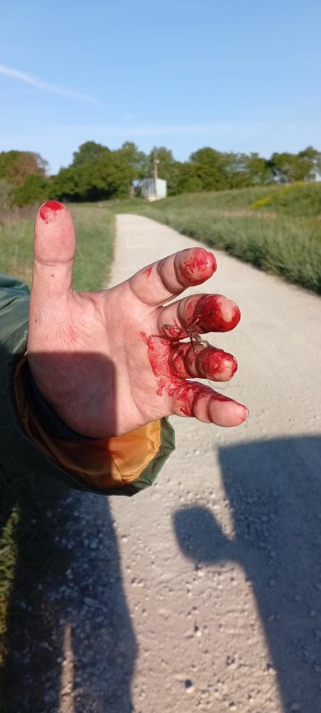 Bords de Saône à Crissey, un fidèle d'info-chalon.com dénonce des "actes de malveillance" 