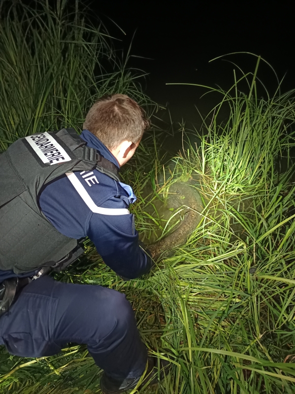 21 infractions à la réglementation de pêche relevées sur les bords de Saône et du Doubs 
