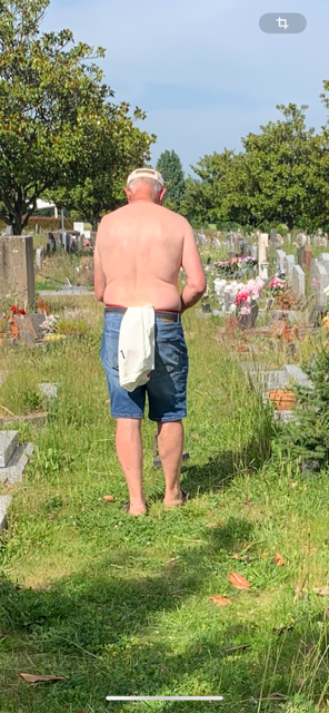 Cimetière Nord - Le coup de gueule d'un fidèle d'info-chalon.com 