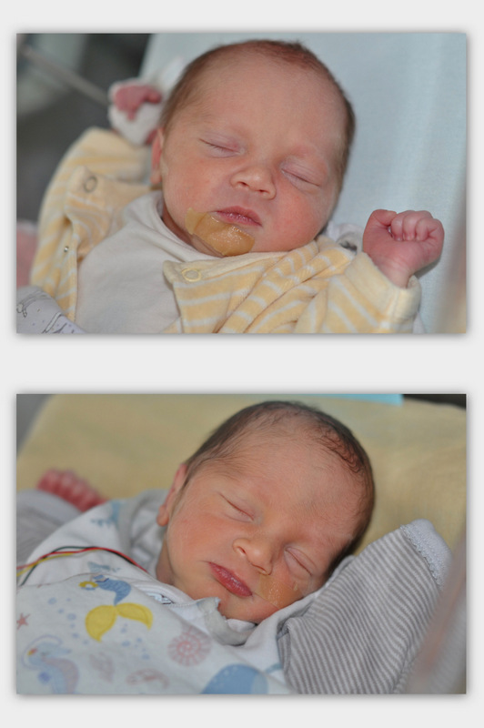 CARNET ROSE ET BLEU - Bienvenue à Lou et Milo