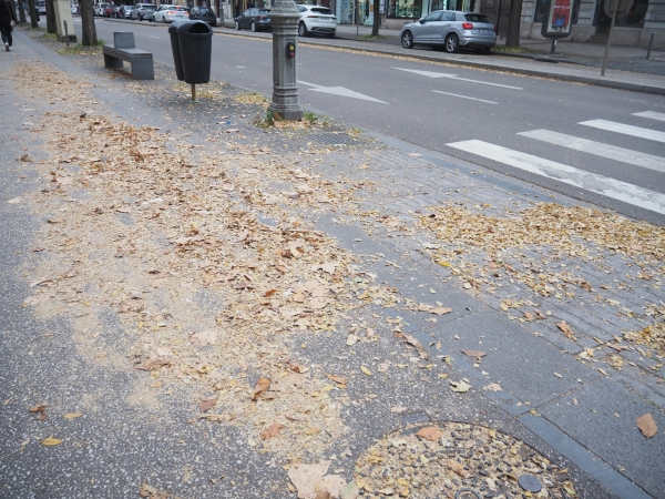 Vigilance accrue sur les trottoirs  ! 