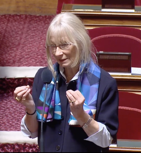 "Pourquoi la nouvelle tenue de protection des sapeurs-pompiers est un problème ? " interroge la sénateur de Saône et Loire, Marie Mercier