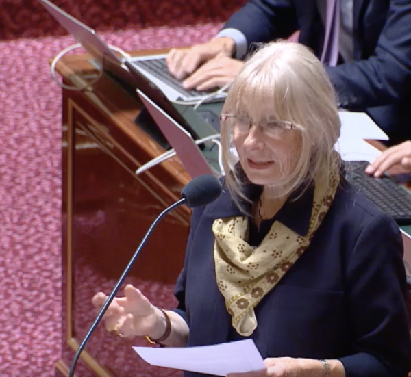 Marie Mercier, Sénateur de Saône et Loire, dit "STOP aux violences sur mineurs dans les espaces d’accueil et les activités périscolaires"