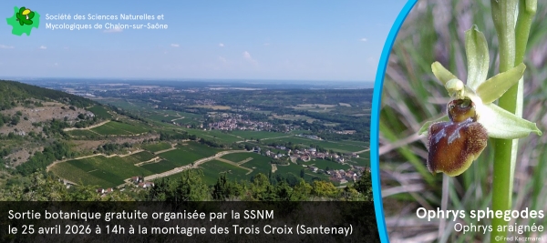 Balade botanique sur la montagne des Trois Croix samedi 25 avril organisée par la Société de Sciences Naturelles et mycologiques de Chalon sur Saône 