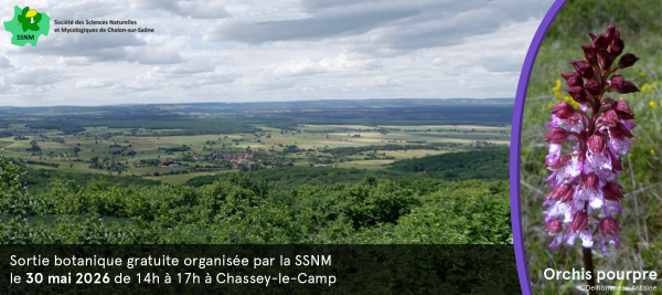 Balade botanique sur la commune de Chassey-le-Camp samedi 30 mai