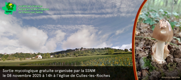 Sortie nature gratuite à Culles-les-Roches ce samedi 8 novembre 
