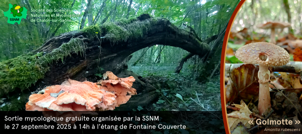 Sortie mycologique en forêt de Givry