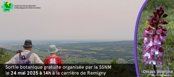Sortie botanique à la carrière de Remigny samedi 24 mai