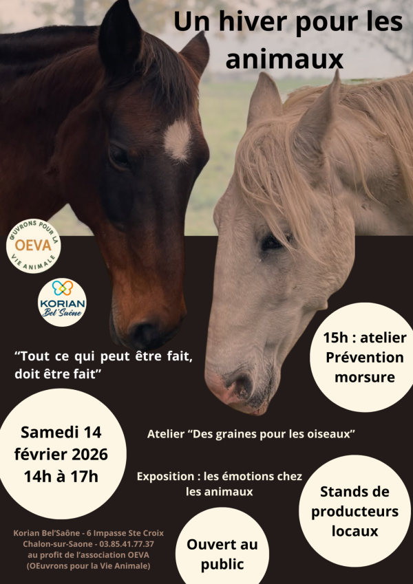 « Un hiver pour les animaux - un EHPAD ouvert à la cité