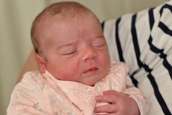 CARNET ROSE - Bienvenue à Coline