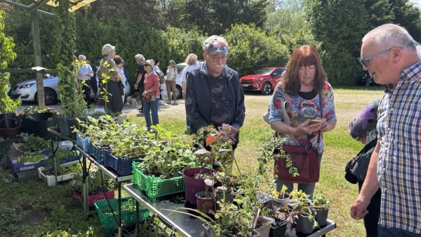 Belle opération troc plantes pour la Société d'horticulture de Chalon et le Centre Socio-Culturel de Saint-Marcel