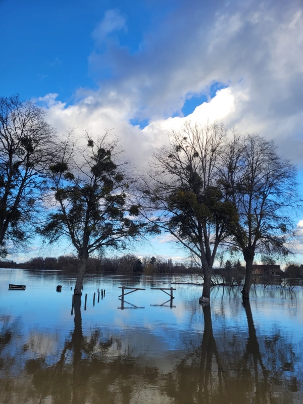 A Gergy, la Saône a pris ses aises 