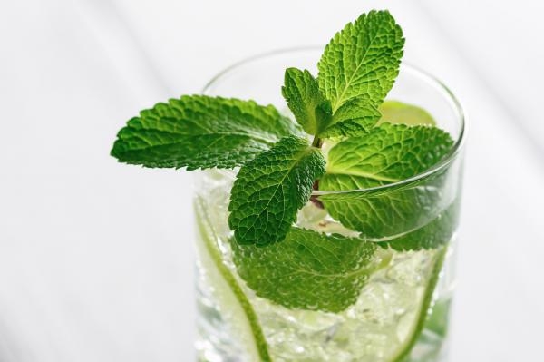 Un sirop de menthe 100% fraîcheur - Info-chalon.com vous donne la recette 