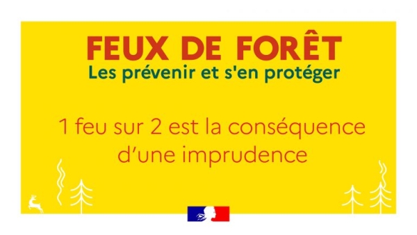 FEUX DE FORET - Un appel à la vigilance citoyenne renforcée  