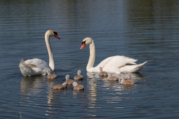 Merci à Maurice pour cette belle photo de famille ! 