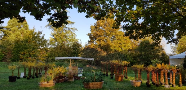 FOIRE AUX PLANTES DE LA FERTE - Un dimanche ensoleillé vous attend ! 