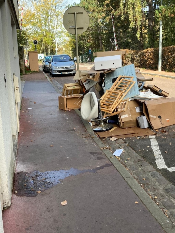 Rue Galilée à Chalon, des encombrants qui commencent vraiment à encombrer !