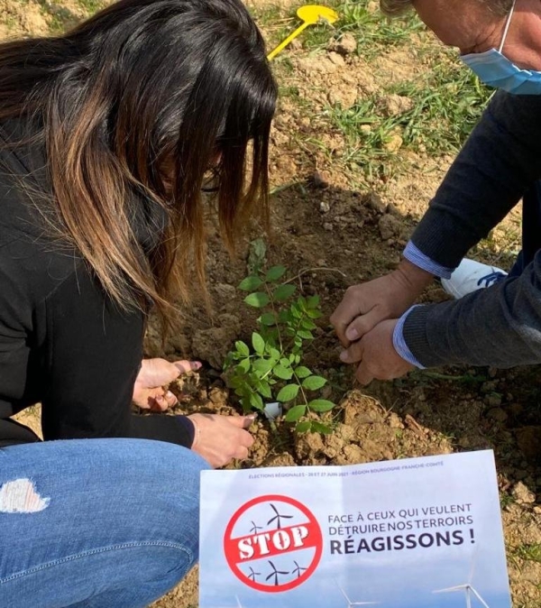 REGIONALES -  Les candidats du Rassemblement National ont planté des arbres contre les éoliennes