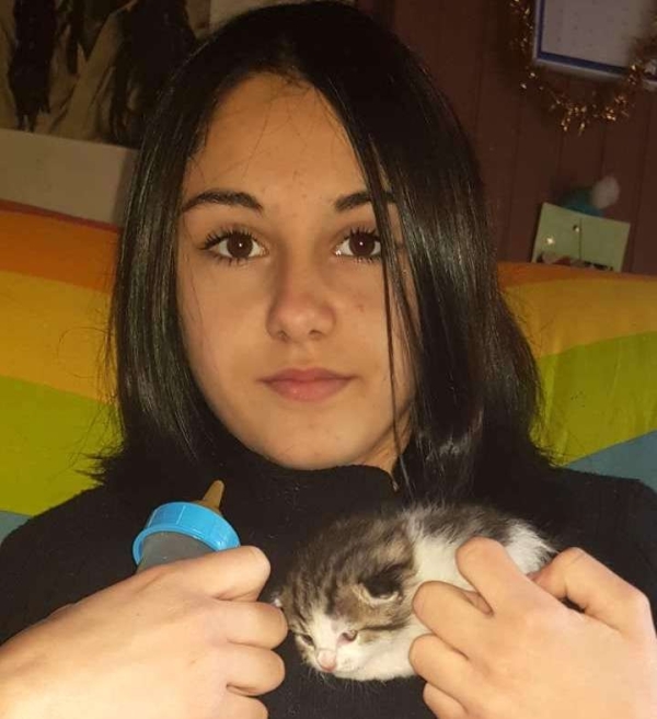 Chloé, 14 ans, sauve un petit chat jeté par la fenêtre d’une voiture